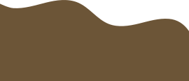 member shape